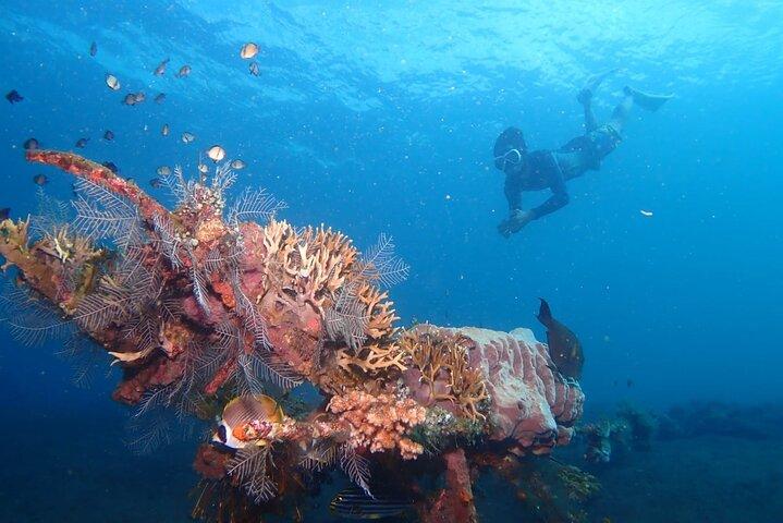 USAT Liberty Shipwreck Karangasem Baliでのトランベンシュノーケリング