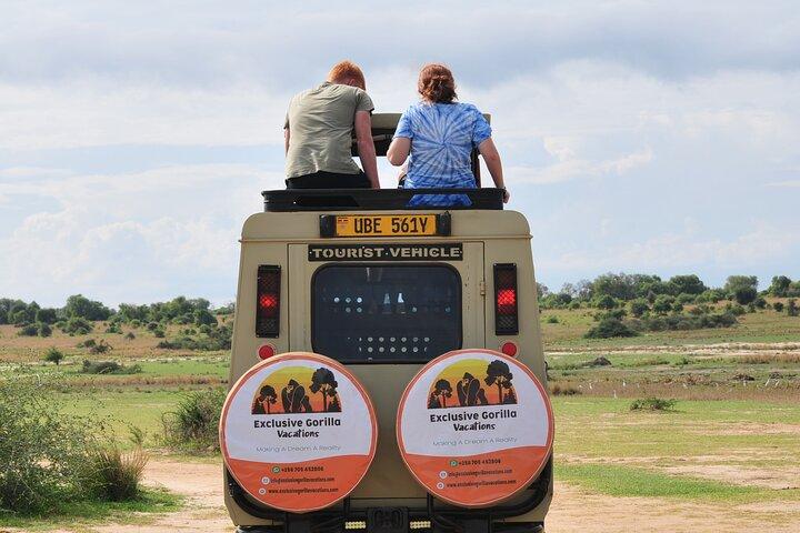 12-dagars Big 5, Chimp & Gorilla Trekking Safari