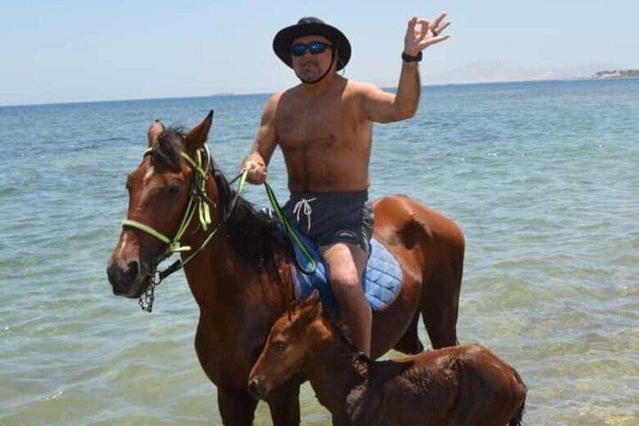 Equitazione nel deserto a Sharm El Sheikh