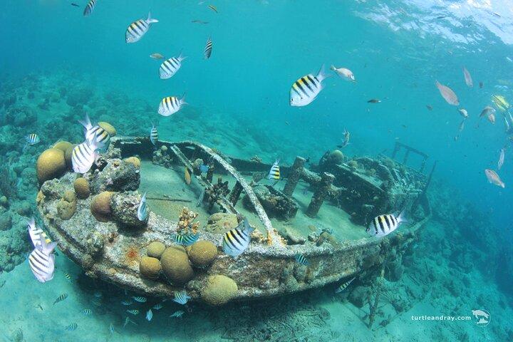 Schnorchelausflug mit Scubaçao "East Point"