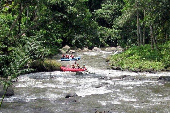 Ubud Wildwasser Rafting mit Wasserfall und Mittagessen