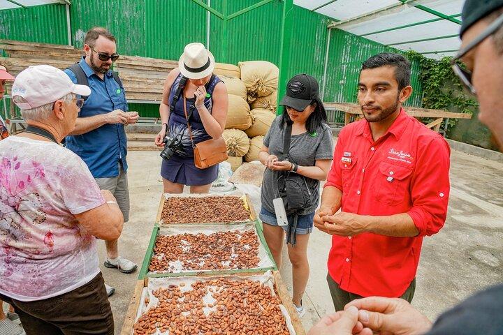 Tour Café, Chocolate y Caña de Azúcar (Regular)
