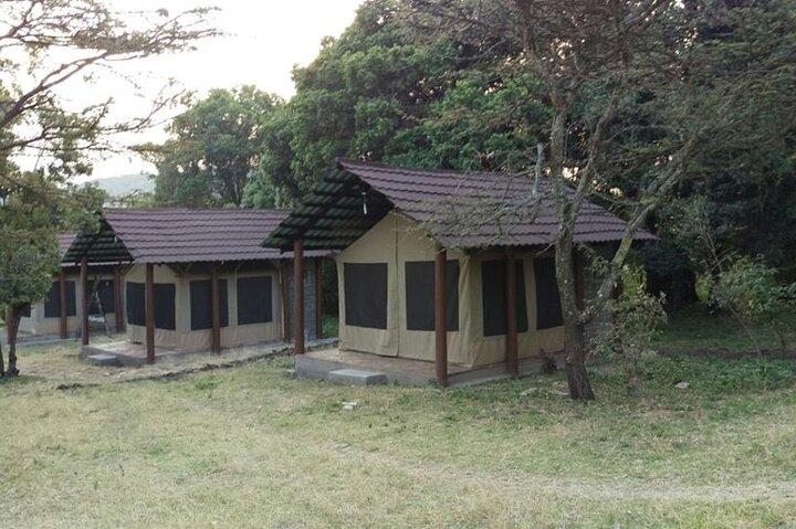 6 dage i Masai Mara Interactiv, Lake Nakuru og Amboseli