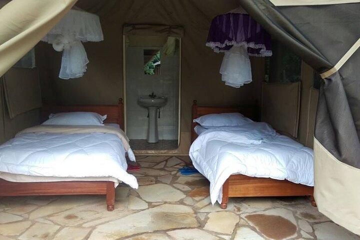 6 giorni a Masai Mara Interactiv, Lago Nakuru e Amboseli