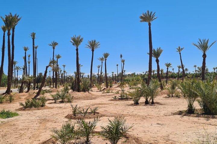 Privat halvdags guidet tur til Marrakech
