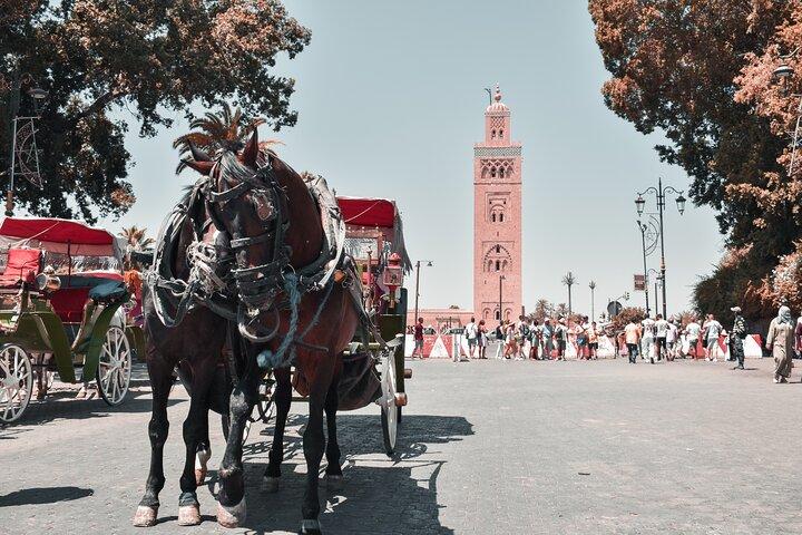 Privat halvdags guidet tur til Marrakech