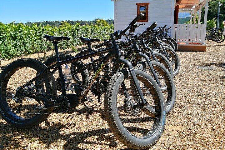 Tour del vino in bici elettrica Stellenbosch (mezza giornata)
