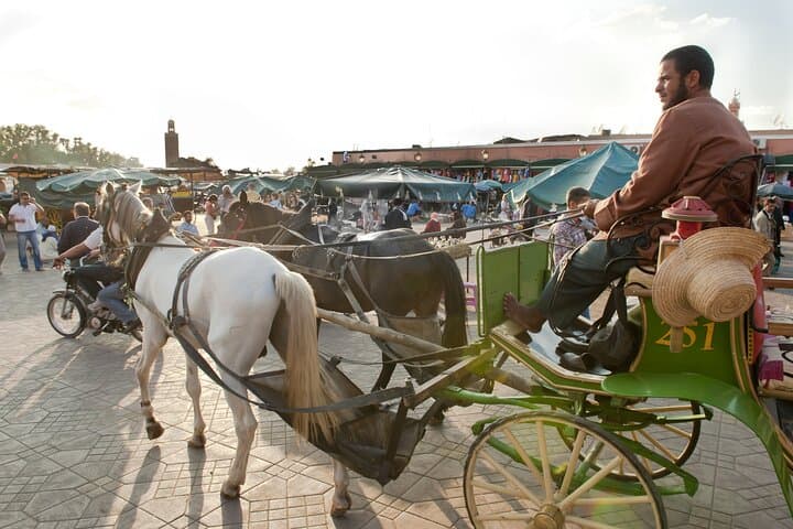 Private Driver for a full day in Marrakech