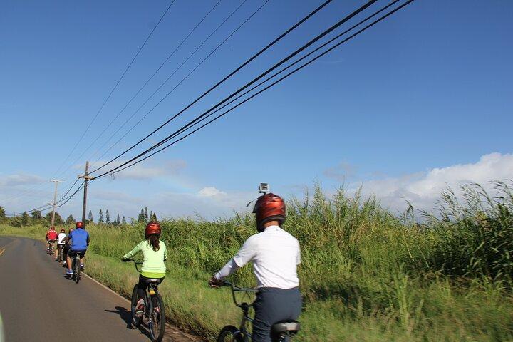 Excursão de bicicleta Haleakala antes do amanhecer 6.500 ao nível do mar