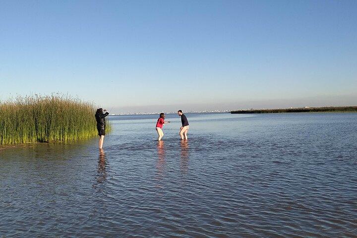 Delta del Safari del Tigre (excursión en barco PRIVADO de 4 horas, vista a Buenos Aires)