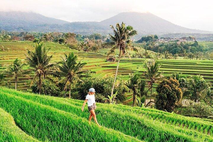 Tour privado: sitios del patrimonio mundial de la UNESCO en Bali