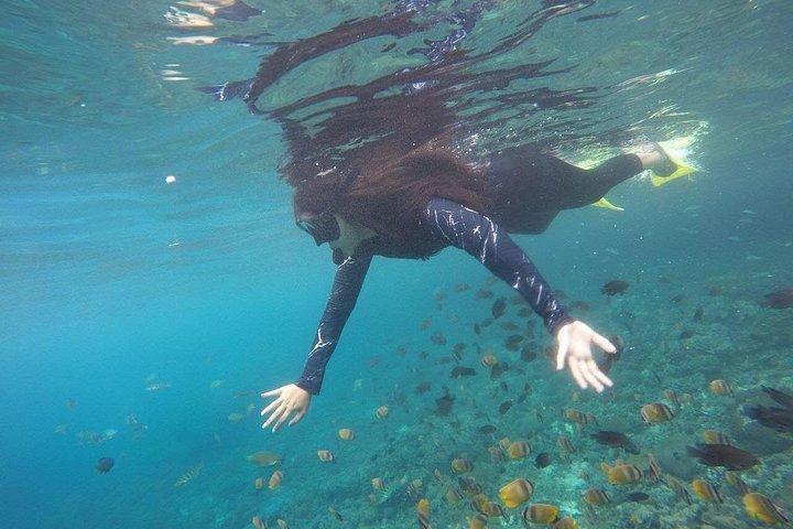 Fantastisk Nusa Penida Snorkeloplevelse