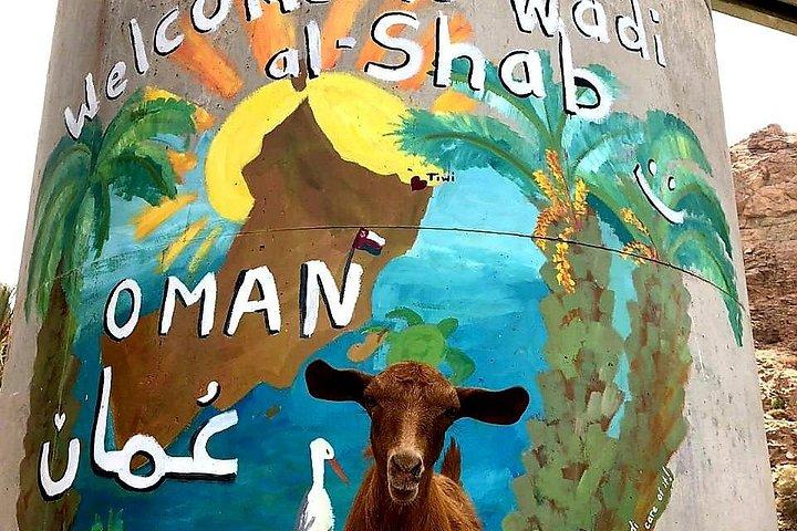 プライベート ワディ シャブ - ラス アル ハッド 1 泊 - 2 日間ツアー