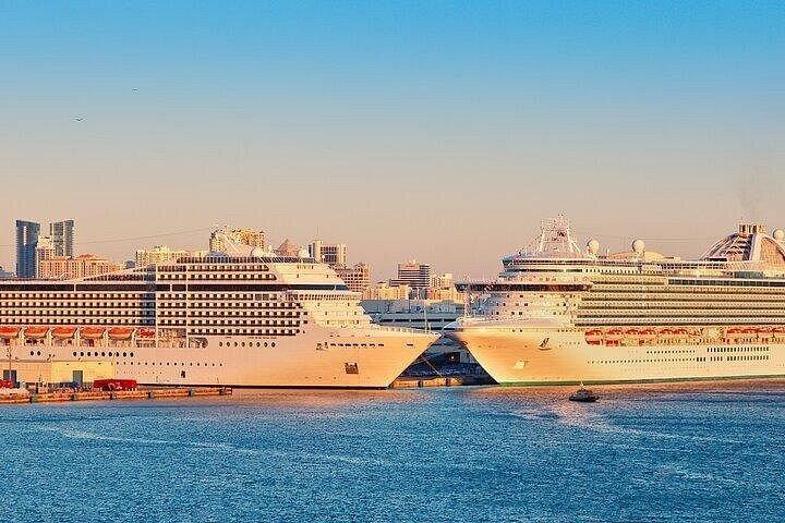 マイアミ空港とシーポートのプライベート送迎 (乗客数 14 人まで)
