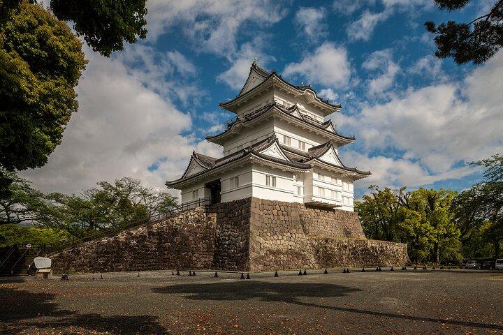 Odawara Castle en Town Guided Discovery Tour
