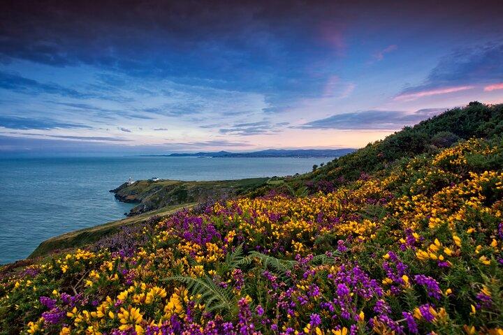 Recorrido en autobús de medio día por la costa de Howth desde Dublín con guía en vivo