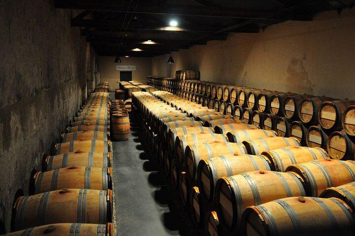 Medoc Region Vindagstur med vingårdsbesök och provningar från Bordeaux