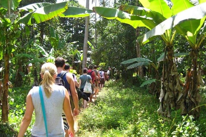 Private Spice Tour in Zanzibar with Pick Up