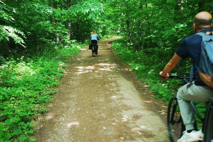 電動自転車でパリからヴェルサイユへ：マーケット、ピクニック、宮殿