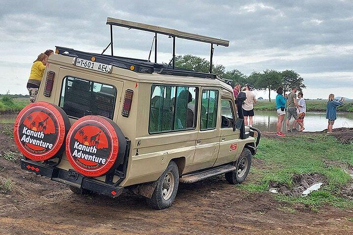 Mikumi Nationaal Park Dagtocht Safari met SGR Trein