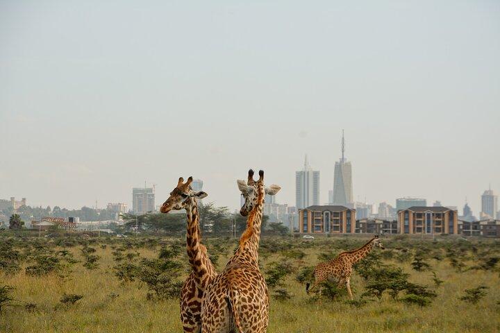 Parc national de Nairobi d'une demi-journée et marché Maasai avec prise en charge