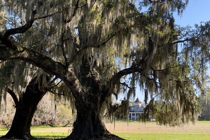 ¡Salir de la ciudad! ¡Visita 12 paradas de Lowcountry con el Tour completo de Charleston!