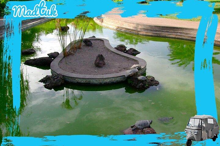 Madeira Botanical Gardens and Old Town Tuk Tuk Tour by MadTuk