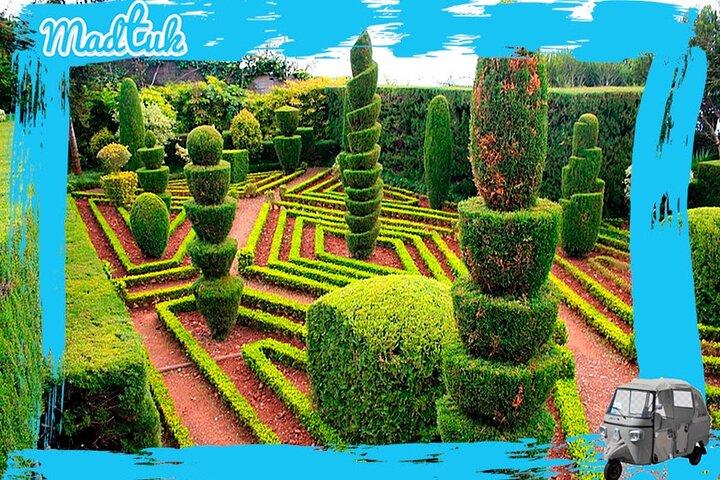 Madeira Botanical Gardens and Old Town Tuk Tuk Tour by MadTuk