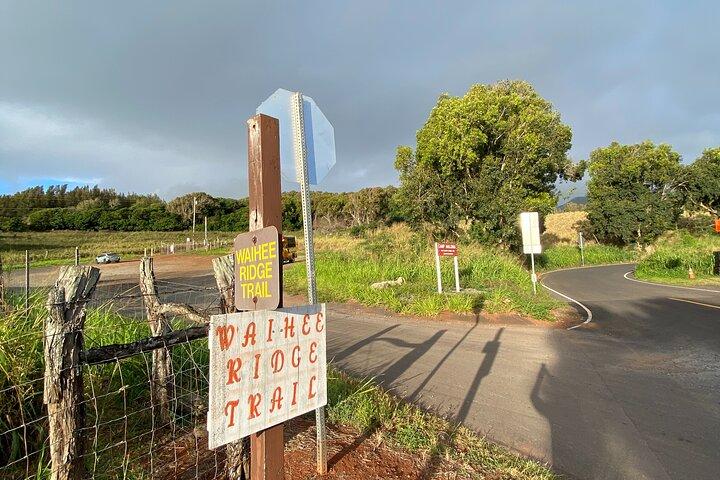 Amazing Maui Ridge Hike
