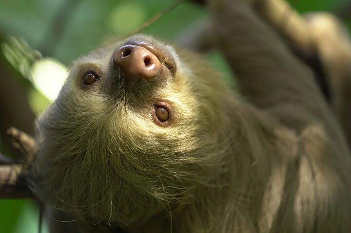 ナトゥワ救助センターへの野生動物ツアー-小グループ