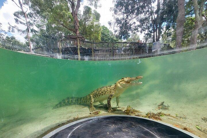 Lone Pine Koala Sanctuary-Tagespass
