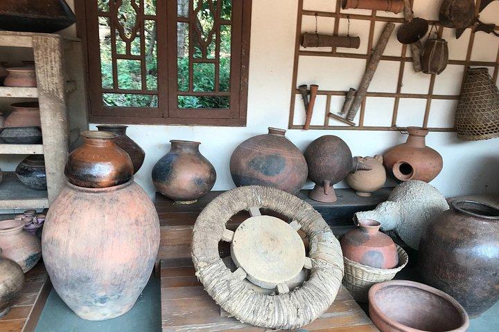 Visite historique privée à Goa