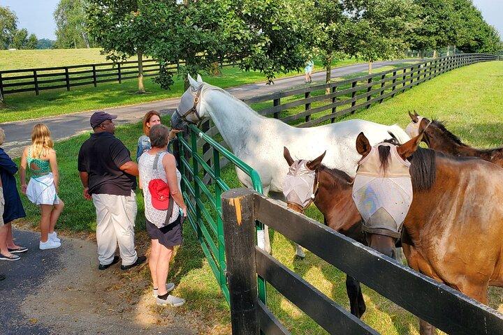 Full-Day Lexington Farm Tour with Clay Pigeon Shooting