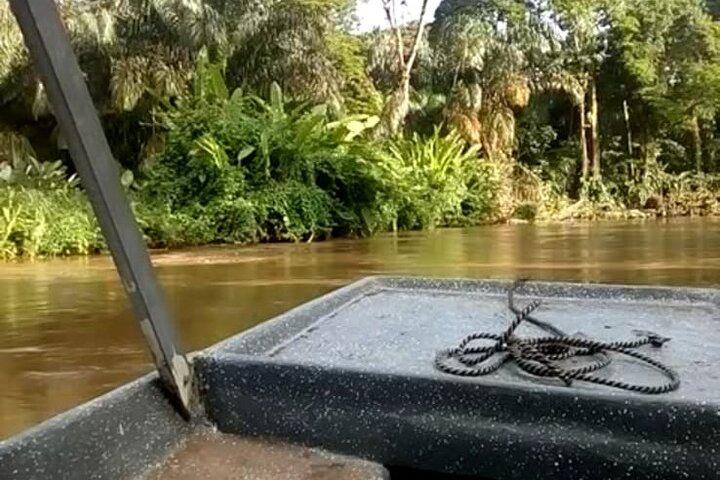 Multi-day all inclusive a Tortuguero con un tour al Parco Nazionale di San Jose