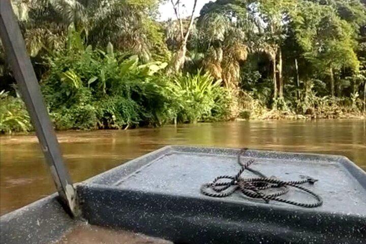 Multi-day all inclusive a Tortuguero con un tour al Parco Nazionale di San Jose