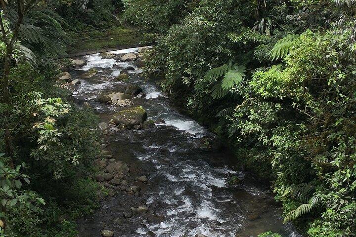 Zip line Canopy half day adventure tour near San Jose Costa rica in San Ramon