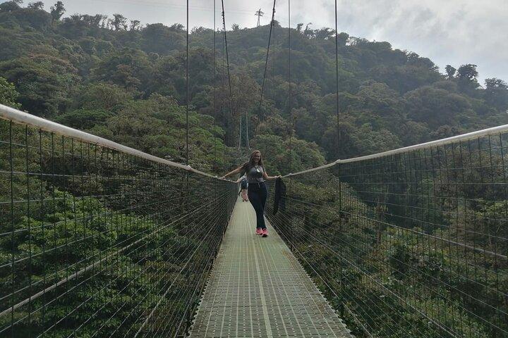 Día completo a Monteverde desde San José con Canopy y reptiles observando a los anfibios