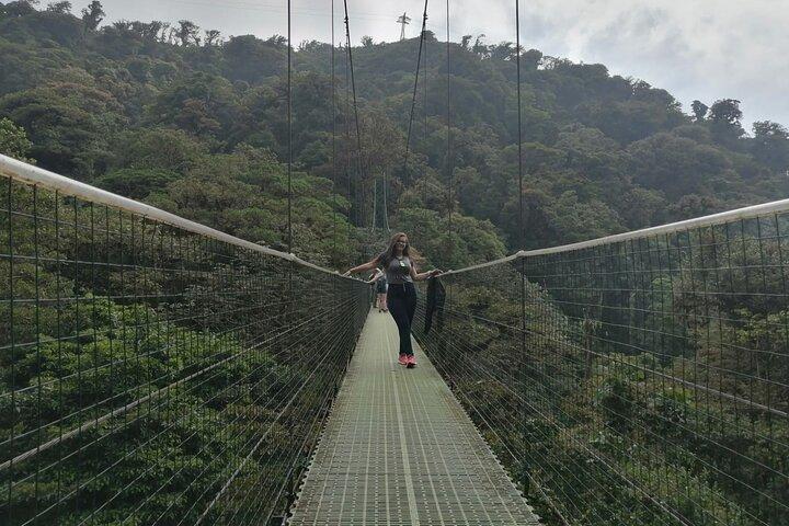 Día completo a Monteverde desde San José con Canopy y reptiles observando a los anfibios