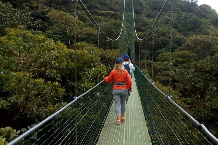 Full day hot springs at Arenal Volcano and hanging brides from San Jose
