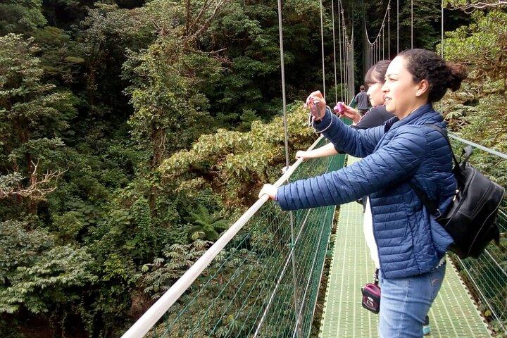 Full day hot springs at Arenal Volcano and hanging brides from San Jose