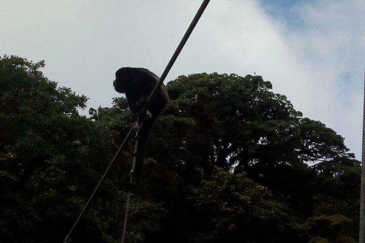 Full day hot springs at Arenal Volcano and hanging brides from San Jose