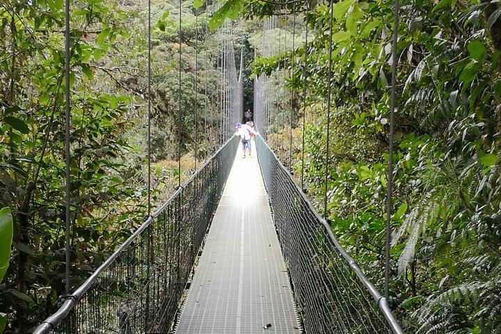 Full day hot springs at Arenal Volcano and hanging brides from San Jose