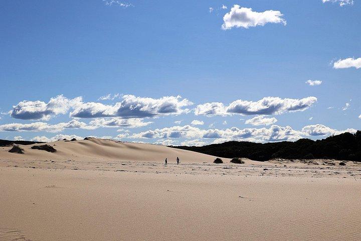 Royal National Park Private Tour