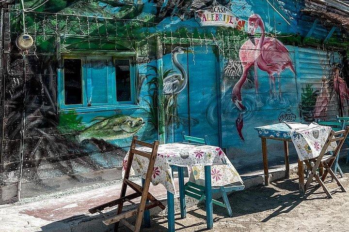 Holbox & Punta Mosquito Day Trip in traghetto da Cancun”