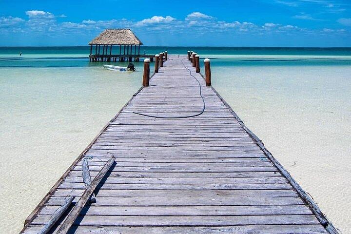 Holbox & Punta Mosquito Day Trip in traghetto da Cancun”