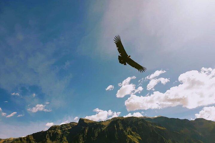 Tour du Canyon de Colca 2 jours