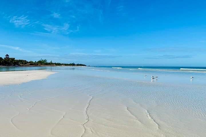 Tour Holbox Mágico Punta Mosquito desde Cancún