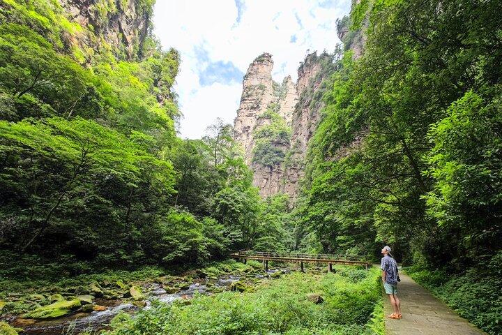 1 "Pandora" dagstur - Zhangjiajie National Park (Avatar Mountain Scenery)
