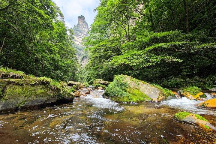 1 "Pandora" dagstur - Zhangjiajie National Park (Avatar Mountain Scenery)