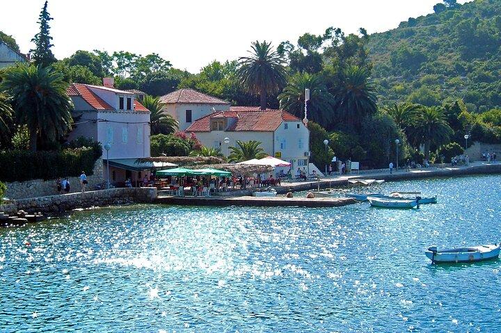 Rent a Boat! (Group Option - Half Day)